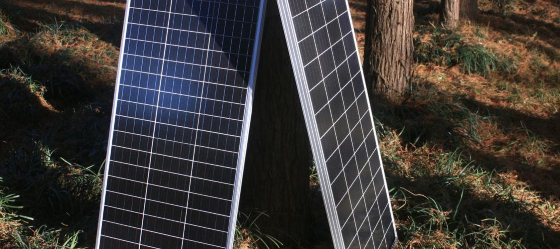 Deux panneaux solaires sont posés contre un arbre pour illustrer le meilleur panneau solaire